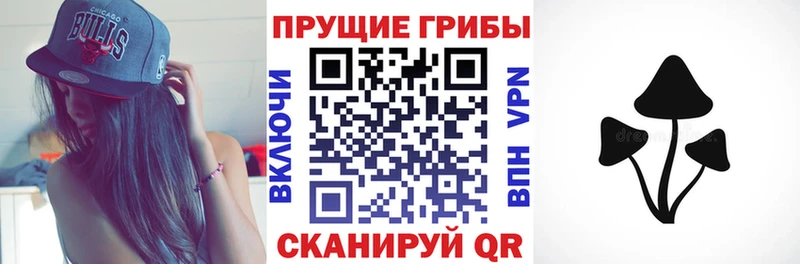Купить где  Усть-Лабинск  Псилоцибиновые грибы мухоморы 